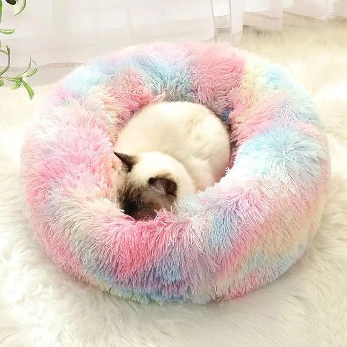 Lit pour Chat - CatLitTunnel™ - Multicolore - En Tout Confort