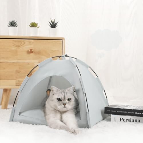 Tente Chat - CatTentBed™ - Gris Cyan - En Tout Confort